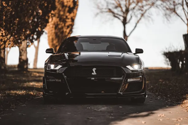 Casino777 Casino Android/iOS App